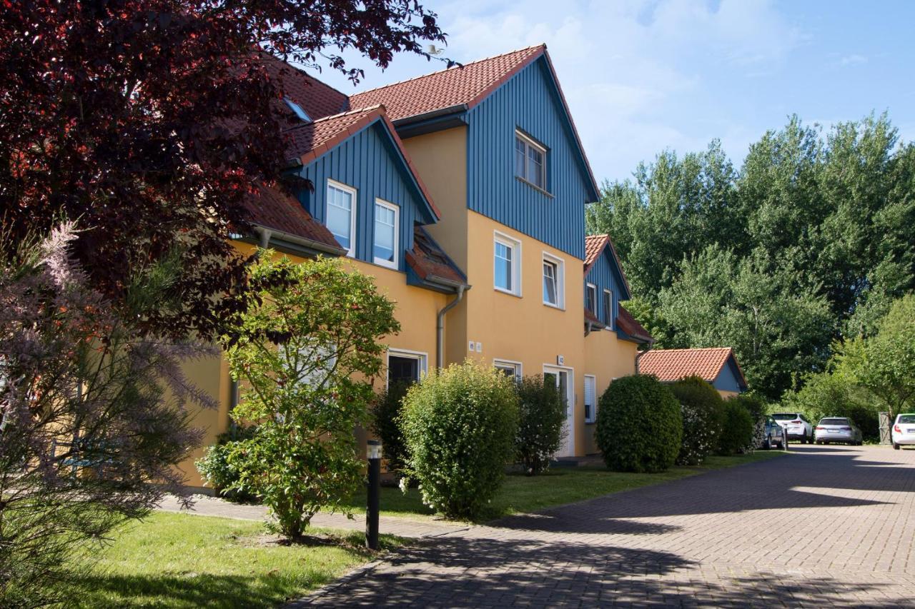 青斯特Friedenstrasse 43 Whg Mara公寓 外观 照片
